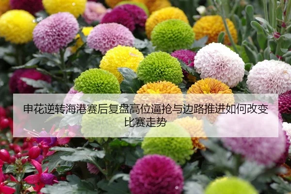 申花逆转海港赛后复盘高位逼抢与边路推进如何改变比赛走势